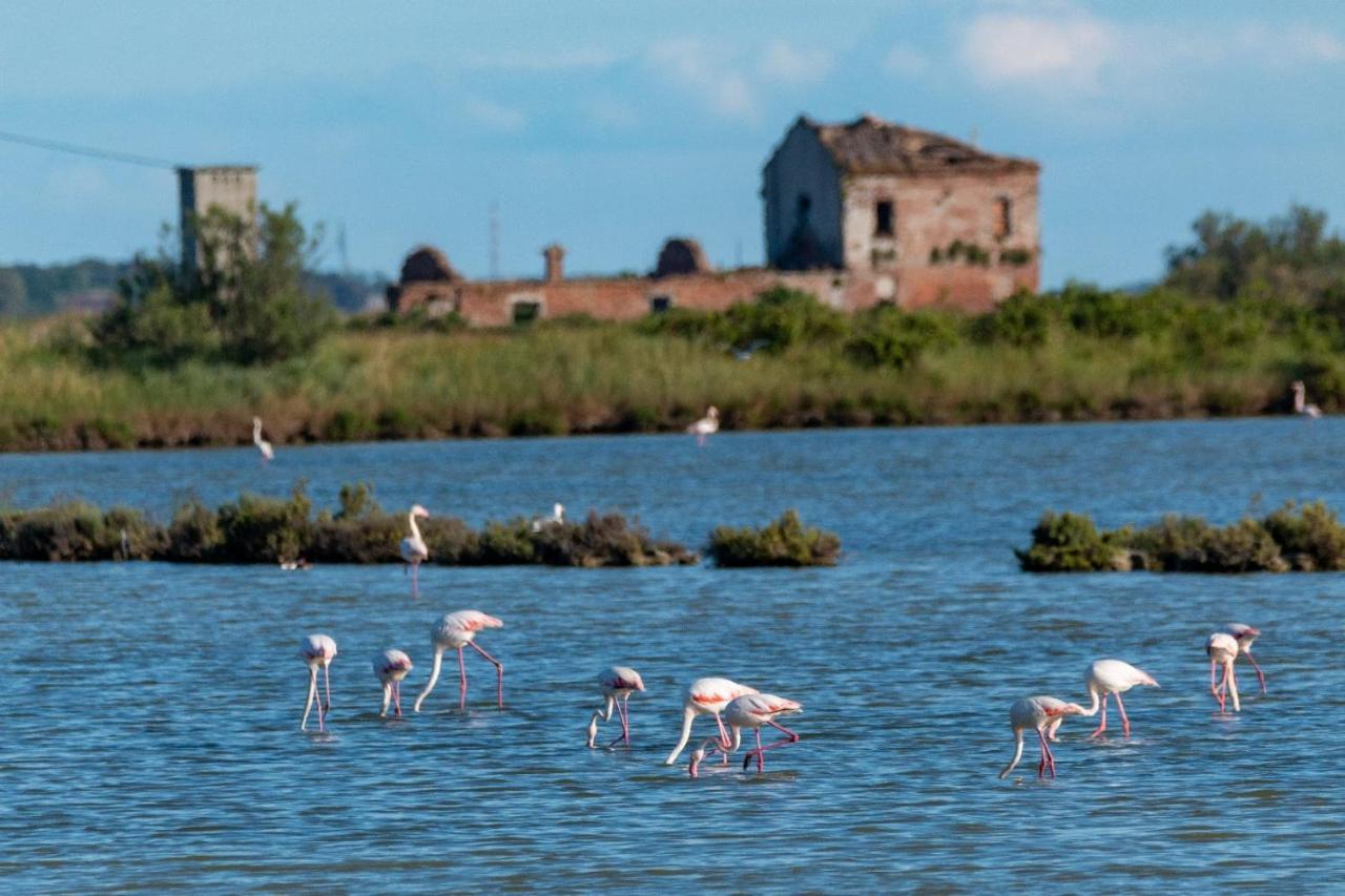 Ca' Savio Terramare Appartement Cavallino-Treporti Buitenkant foto